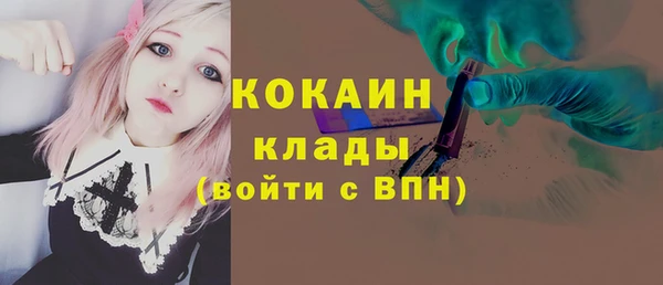 твердый Алексеевка